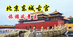 大鸡巴操骚女人逼视频。中国北京-东城古宫旅游风景区
